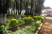 Aménagement de l’espace vert dans la ville de Mbouda